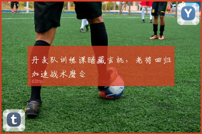 丹麦队训练课暗藏玄机，老将回归加速战术磨合